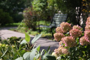 IMG_5102 garden 2 mc brier park