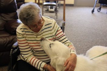 pet visit