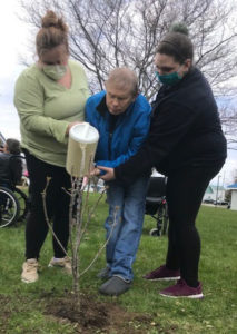 planting a tree